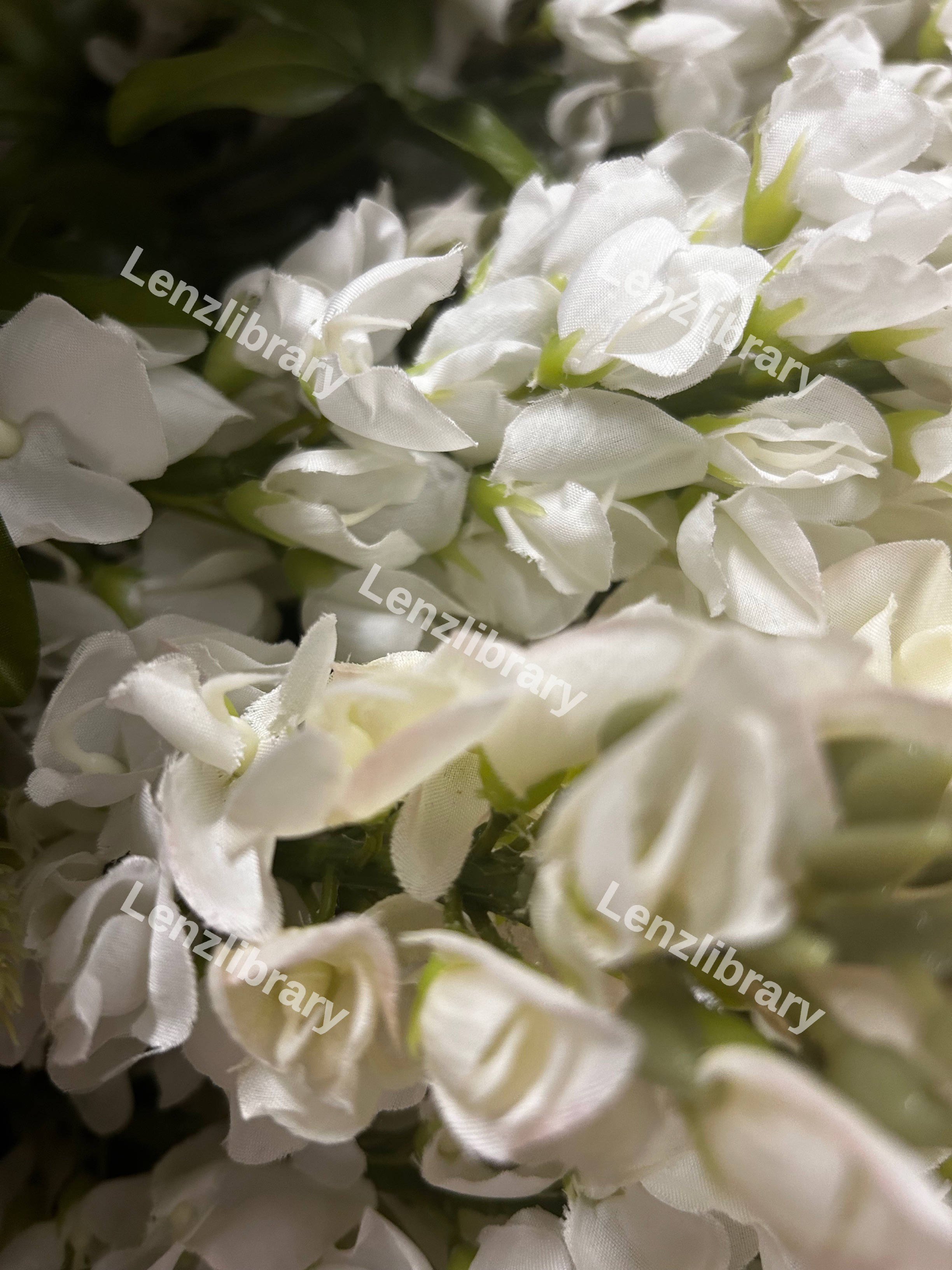 White Flowers